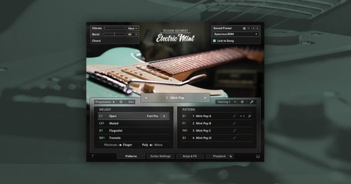 Native Instruments Session Guitarist Electric Mint