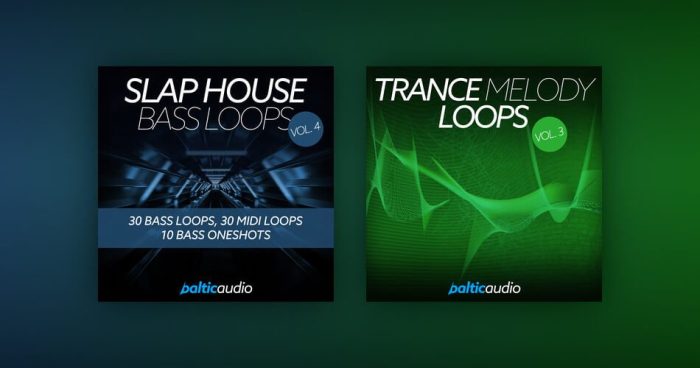 Baltic Audio Slap House Bass Loops 4 Trance Melody Loops 3