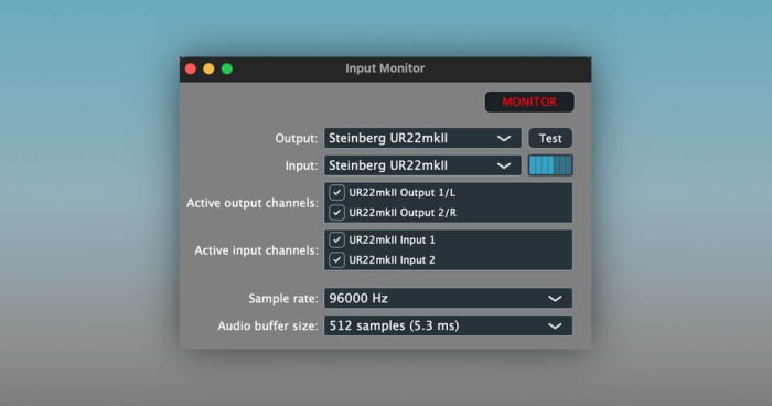 Homegrown Sounds Input Monitor