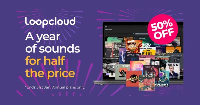 Loopcloud Annual Sale