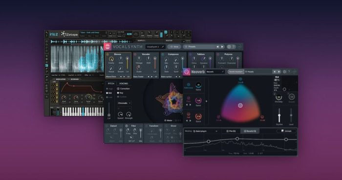 iZotope Iris 2 VocalSynth 2 Neoverb