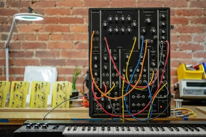 Moog Model 10