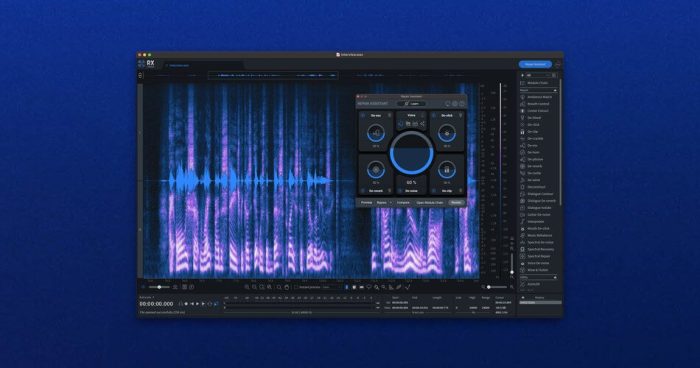 iZotope RX10