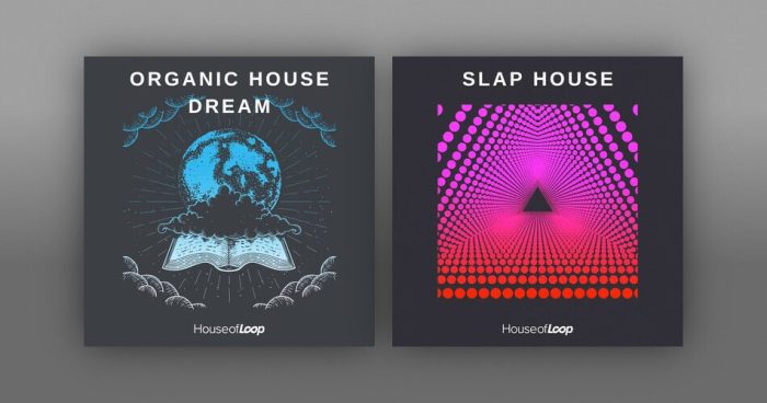 House of Loop Slap House Organic House Dream