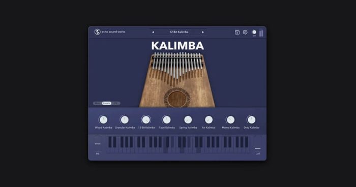 Echo Sound Works Kalimba