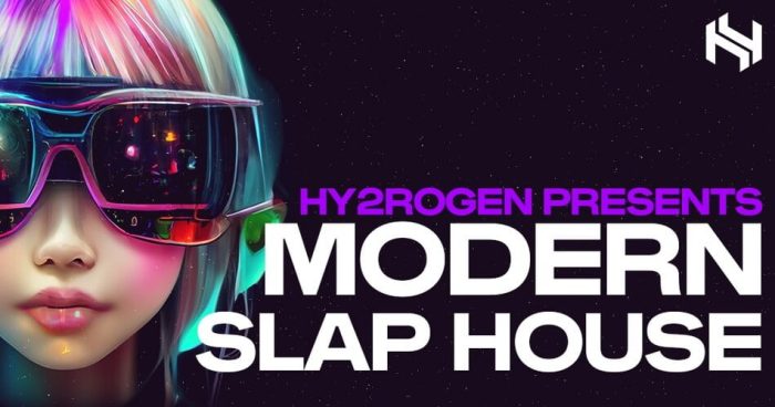 Hy2rogen Modern Slap House