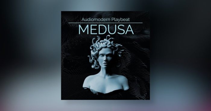 The Sound Gardxn Medusa