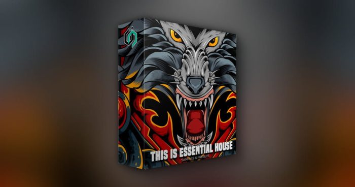 Incognet This Is Essential House