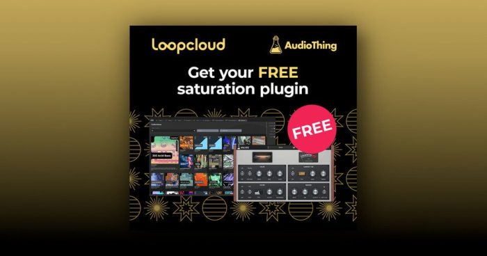 Loopcloud AudioThing Valves