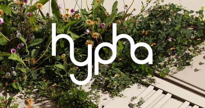 Native Instruments Hypha