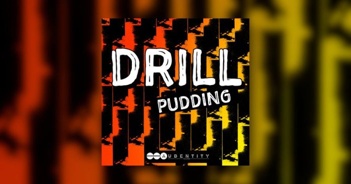 Audentity Records Drill Pudding