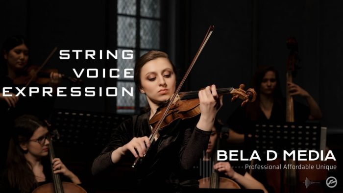 Bela D Media String Voice Expression