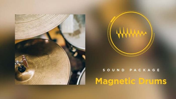 Bitwig Magnetic Drums