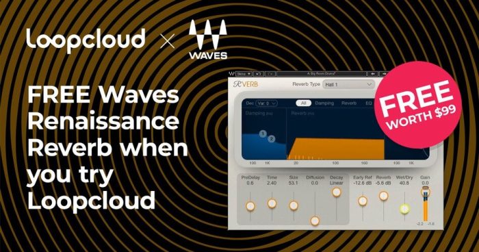 Loopcloud Waves Renaissance Reverb