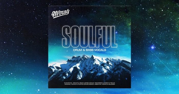 91Vocals Soulful Drum Bass Vocals