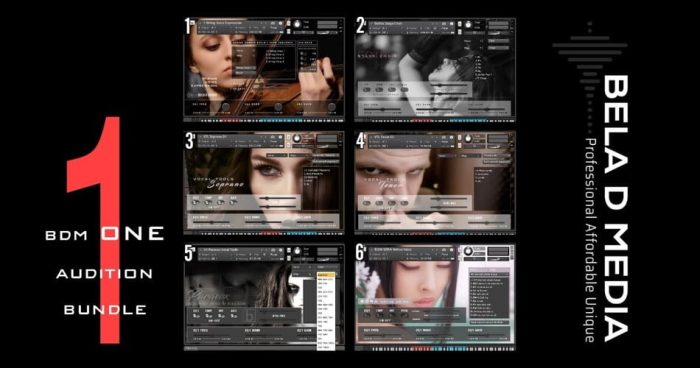 Bela D Media One Audition Bundle