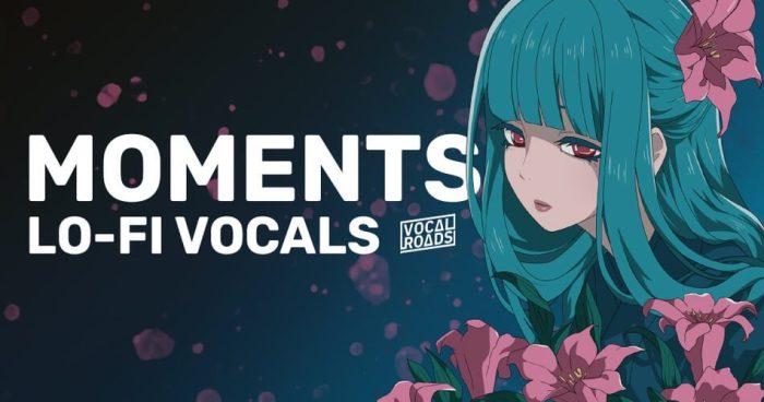 Vocal Roads Moments Lofi Vocals