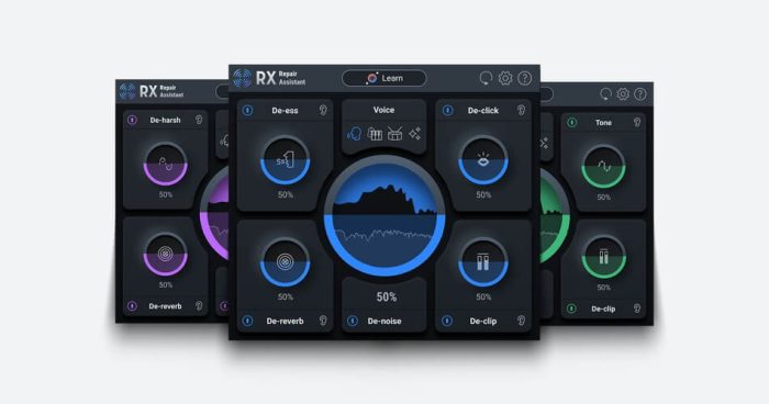 iZotope RX 10 Elements