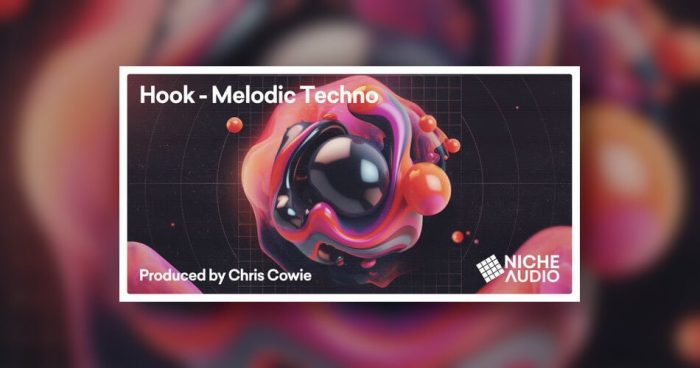 Niche Audio Hook Melodic Techno