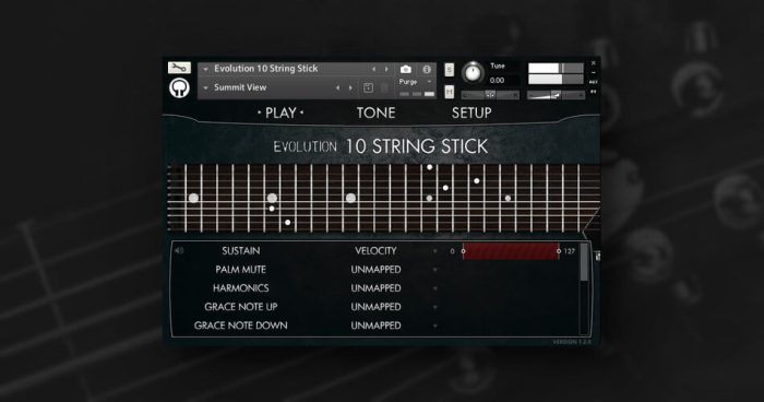 Orange Tree Samples Evolution 10 String Stick