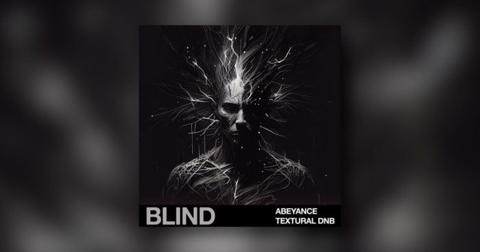 Blind Audio Abeyance Textural DnB