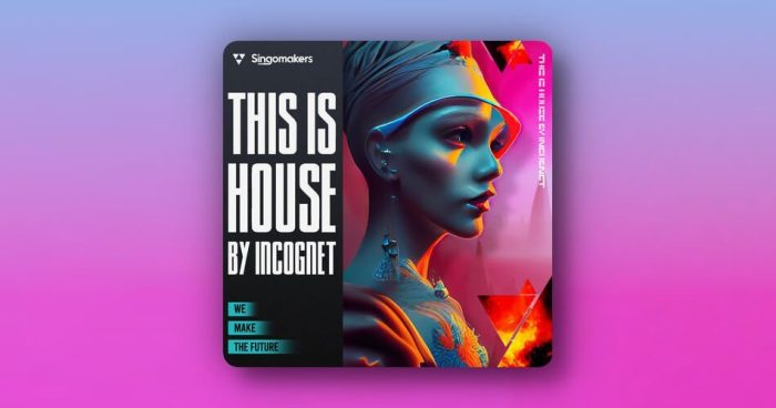 Singomakers This Is House by Incognet