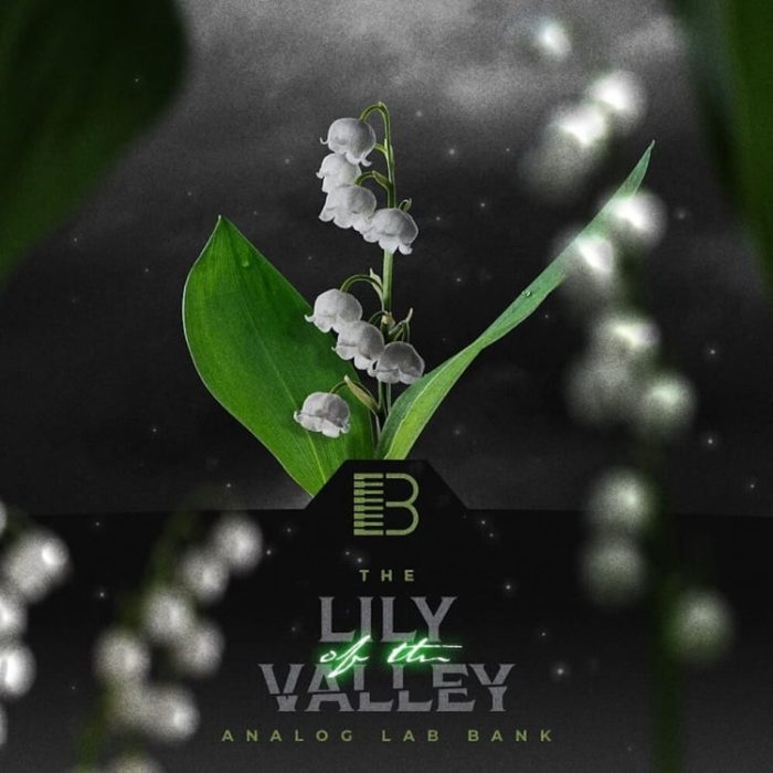 Brandon Chapa Lily of the Valley Analog Lab V