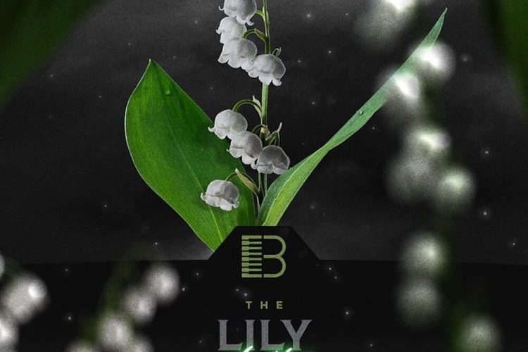 Lily Of The Valley soundset for Analog Lab V by Brandon Chapa