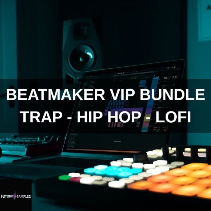 Glitchedtones Future Samples Beatmaker VIP Bundle