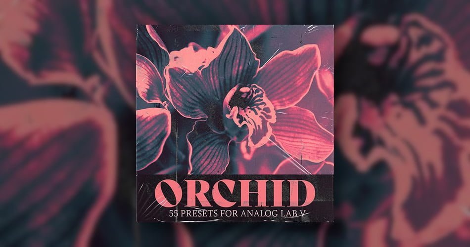 FREE: Orchid soundset for Analog Lab V (limited time)