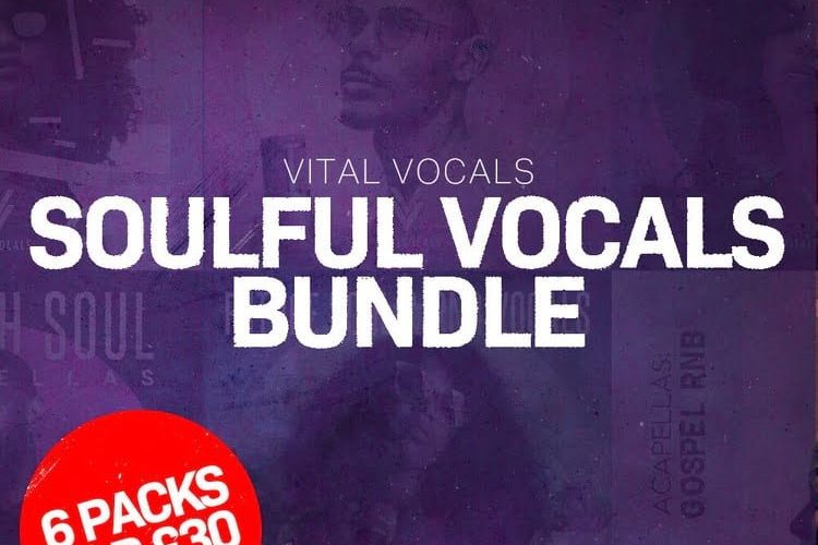 Vital Vocals Soulful Vocals Bundle: 6 packs for £30 GBP
