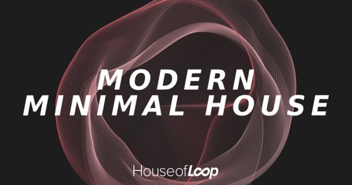 House of Loop Modern Minimal House