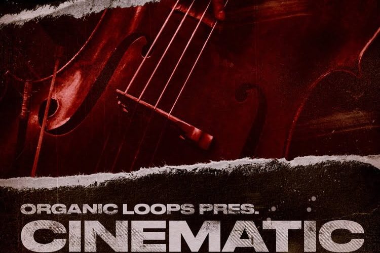 Organic Loops Deep Sampled Series Cinematic Cello