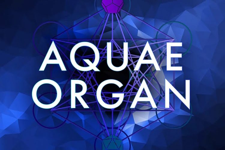 Soundiron releases Aquae Organ free Kontakt Player instrument library