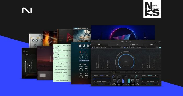 Native Instruments NKS Additions February 2024