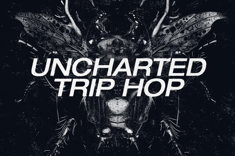 RV Samplepacks releases Uncharted Trip Hop sample pack