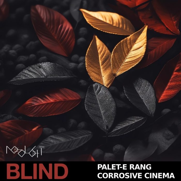 Blind Audio Palet E Rang