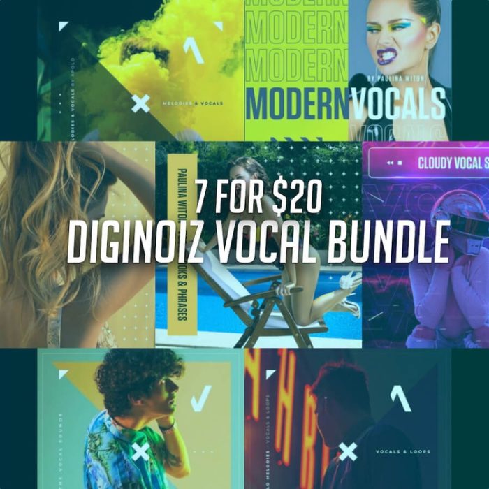 Diginoiz Vocal Bundle