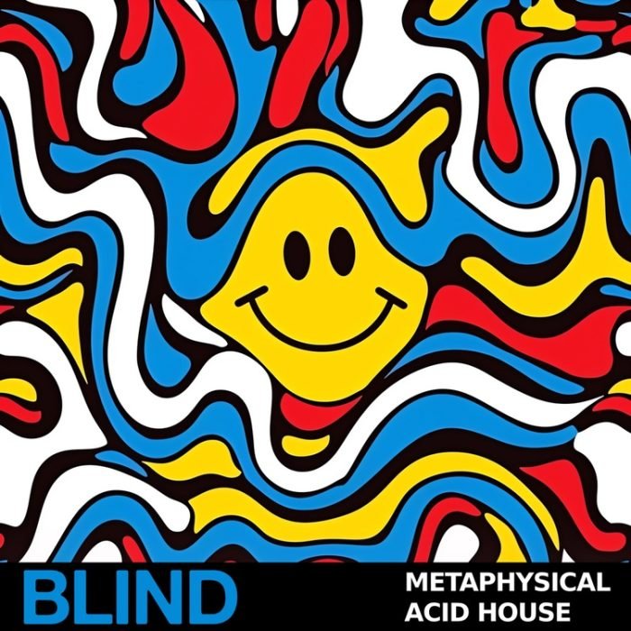 Blind Audio Metaphysical Acid House