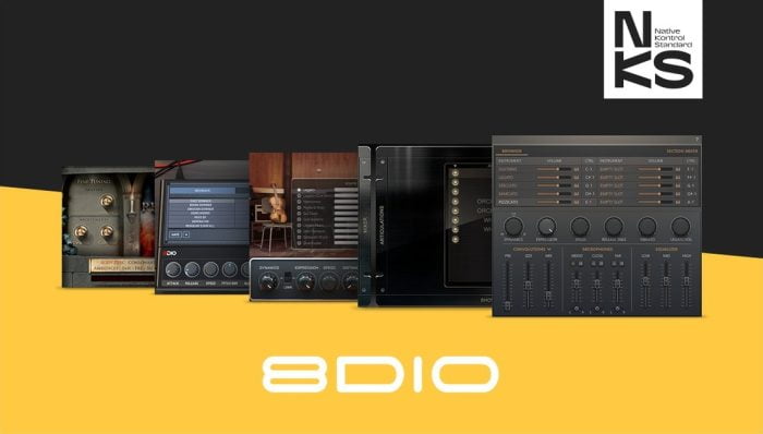 Native Instruments 8Dio