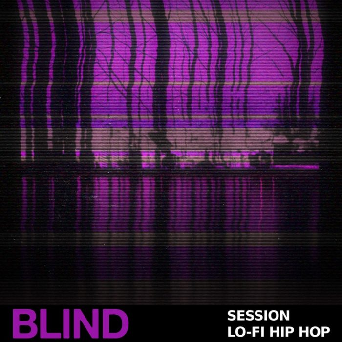 Blind Audio Session Lofi Hip Hop