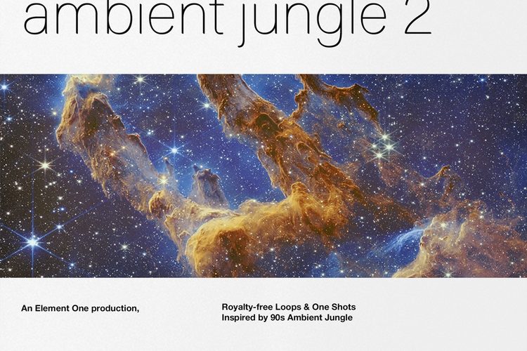 Element One Ambient Jungle 2