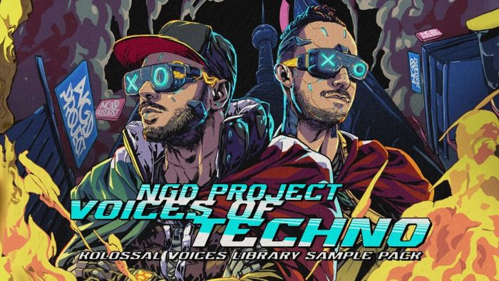 NGD Project Voices of Techno