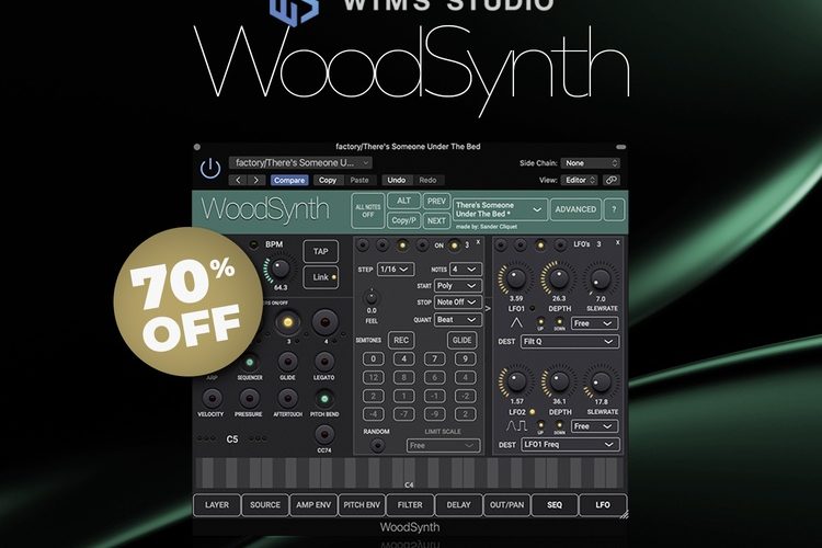 APD WIMS Studio WoodSynth