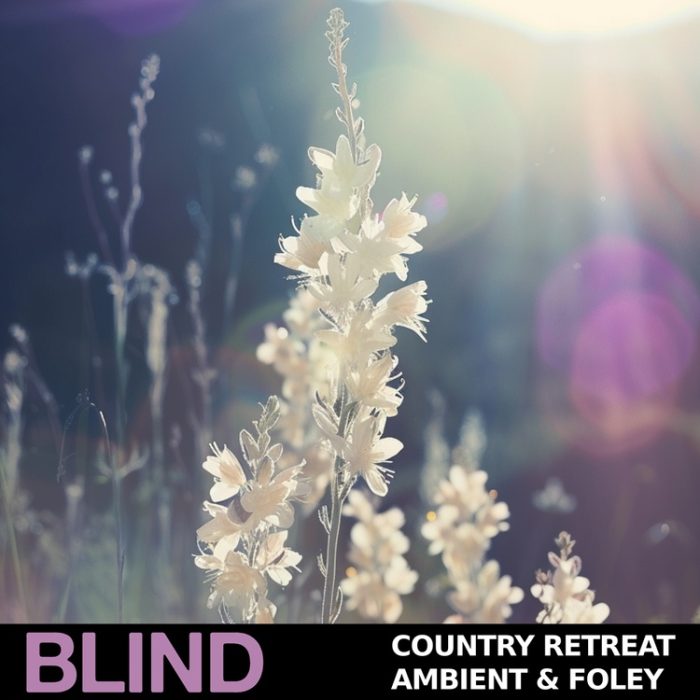 Blind Audio Country Retreat