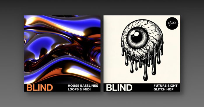 Blind Audio House Bassline and Future Sight