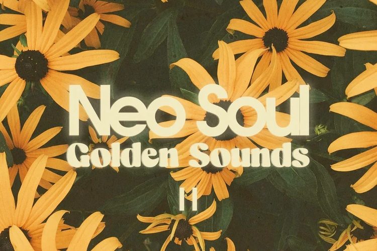 Alliant Audio Neo Soul Golden Sounds 2