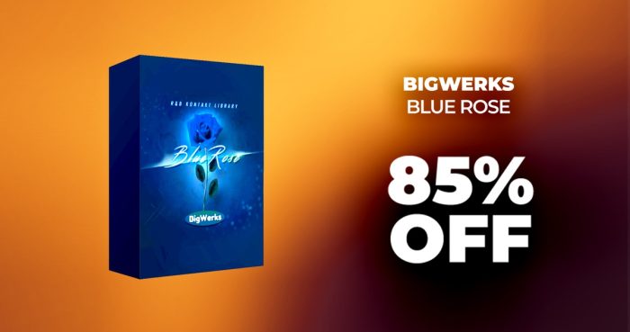 BigWerks Blue Rose Sale