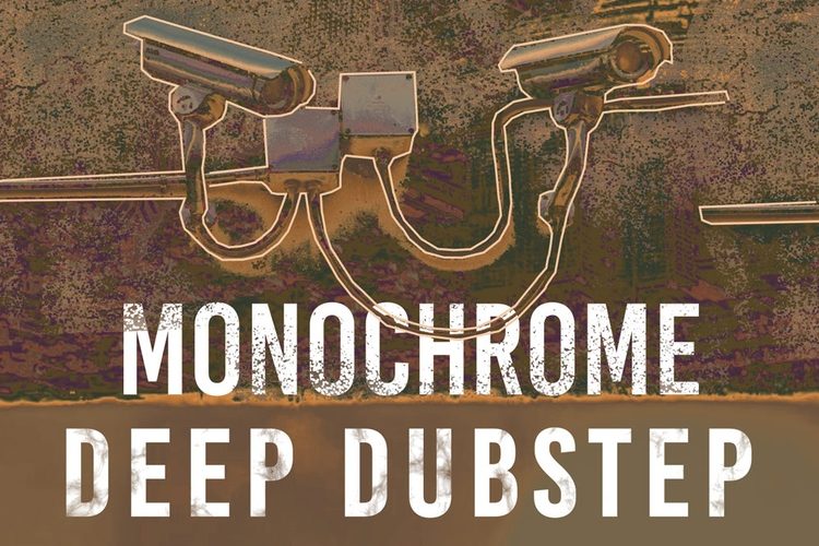 OneZero Samples Monochrome Deep Dubstep