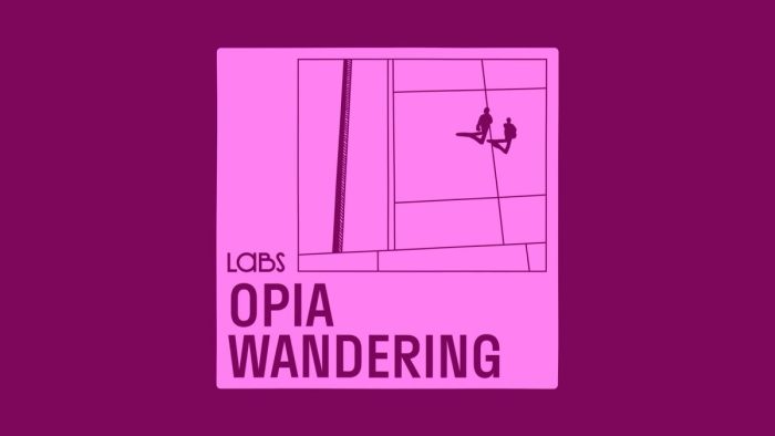 LABS OPIA Wandering